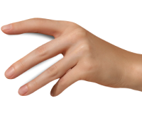 hand